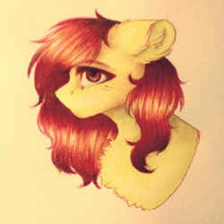 Size: 1280x1280 | Tagged: safe, artist:uglypartyhat, imported from derpibooru, oc, oc only, earth pony, pony, bust, photo, portrait, traditional art