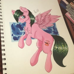 Size: 2448x2448 | Tagged: safe, artist:uglypartyhat, imported from derpibooru, oc, oc only, pegasus, pony, photo, traditional art