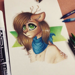 Size: 1024x1024 | Tagged: safe, artist:uglypartyhat, imported from derpibooru, oc, oc only, deer pony, original species, bust, chest fluff, neckerchief, photo, portrait, traditional art