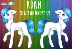 Size: 2200x1500 | Tagged: safe, artist:uglypartyhat, imported from derpibooru, oc, oc only, oc:adam, earth pony, pony, reference sheet