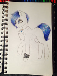 Size: 1024x1366 | Tagged: safe, artist:uglypartyhat, imported from derpibooru, oc, oc only, oc:adam, earth pony, pony, armband, jewelry, pendant, photo, traditional art