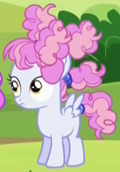 Size: 242x345 | Tagged: safe, imported from derpibooru, screencap, cotton puff, pegasus, pony, brotherhooves social, blank flank, cropped, female, filly, frizzy hair, solo focus