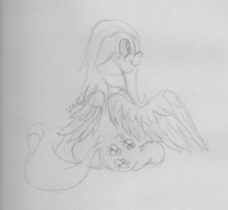 Size: 2653x2438 | Tagged: safe, artist:wapamario63, imported from derpibooru, fluttershy, pegasus, pony, butt, cute, female, flutterbutt, lineart, plot, shyabetes, sitting, sketch, smiling, solo, traditional art, wings