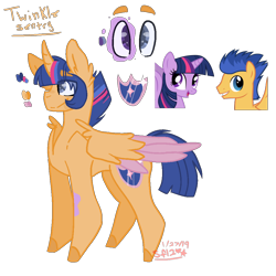 Size: 1000x1000 | Tagged: safe, artist:segafan12, imported from derpibooru, flash sentry, twilight sparkle, oc, oc:twinkle sentry, alicorn, pony, alicorn oc, female, flashlight, male, offspring, parent:flash sentry, parent:twilight sparkle, parents:flashlight, reference sheet, shipping, stallion, straight, teenager, twilight sparkle (alicorn)