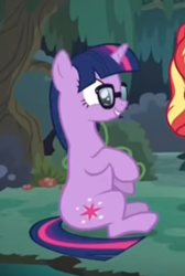 Size: 317x471 | Tagged: safe, imported from derpibooru, screencap, sci-twi, sunset shimmer, twilight sparkle, pony, unicorn, equestria girls, equestria girls series, spring breakdown, spoiler:eqg series (season 2), cropped, cute, equestria girls ponified, female, glasses, offscreen character, ponified, sitting, smiling, solo focus, twiabetes, unicorn sci-twi
