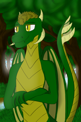 Size: 1280x1920 | Tagged: safe, artist:quarmaid, imported from derpibooru, oc, oc only, dragon, forest, grass, male, river, shadow, solo, sunshine, tree