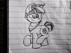 Size: 2560x1920 | Tagged: safe, artist:thebadbadger, imported from derpibooru, oc, oc only, oc:hot pop, pony, lineart, lined paper, solo, traditional art