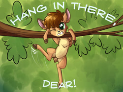 Size: 1200x900 | Tagged: safe, artist:sirzi, imported from derpibooru, oc, oc only, deer, fordeer, original species, chest fluff, fawn, hang in there, hanging, pale belly, pun, solo, tree, tree branch