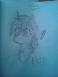 Size: 1620x2160 | Tagged: safe, artist:terminalhash, imported from derpibooru, oc, oc only, oc:kate, pony, graph paper, sketch, solo, traditional art