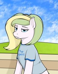 Size: 795x1024 | Tagged: safe, artist:kirr12, imported from derpibooru, oc, oc only, earth pony, pony, clothes, female, looking at you, mare, shirt, sitting, solo, the expert