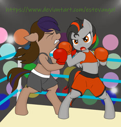 Size: 871x917 | Tagged: safe, artist:estevangel, imported from derpibooru, oc, oc:dusk strike, pegasus, pony, semi-anthro, bipedal, boxing, boxing gloves, boxing ring, clothes, midriff, sports, sports bra