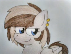 Size: 1600x1200 | Tagged: safe, artist:thebadbadger, imported from derpibooru, oc, oc:fire attack, pegasus, pony, simple background, traditional art, white background