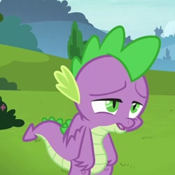Size: 630x630 | Tagged: safe, imported from derpibooru, screencap, spike, dragon, father knows beast, claws, male, tail, winged spike, wings, yelling