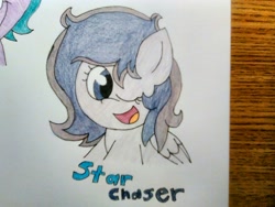 Size: 1600x1200 | Tagged: safe, artist:thebadbadger, imported from derpibooru, oc, oc:star chaser, pegasus, pony, simple background, traditional art, white background