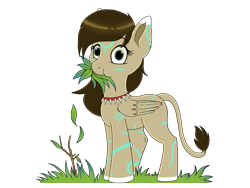 Size: 2100x1575 | Tagged: safe, artist:zobaloba, imported from derpibooru, oc, oc only, oc:rune, pegasus, pony, brown mane, female, filly, grass, green eyes, herbivore, horses doing horse things, looking at you, nom, simple background, solo, standing, tooth necklace, transparent background, wat