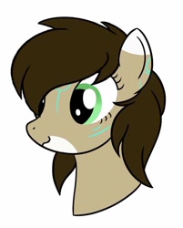 Size: 762x949 | Tagged: safe, artist:techmagic, imported from derpibooru, oc, oc only, oc:rune, pony, :3, brown mane, bust, female, filly, green eyes, head, solo