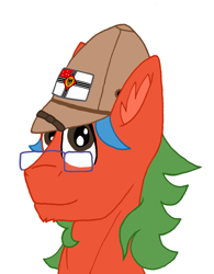 Size: 2597x3336 | Tagged: safe, artist:summerium, imported from derpibooru, oc, oc only, oc:summer lights, pegasus, pony, bust, flag, glasses, male, mittelafrika, mixed media, portrait, salacot, solo