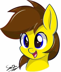 Size: 720x849 | Tagged: safe, artist:sheandog, edit, imported from derpibooru, oc, oc:ponyseb, pony, art theft, avatar, bust, head, recolor, signature