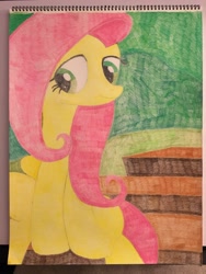 Size: 4032x3024 | Tagged: safe, artist:big-kid, deleted from derpibooru, imported from derpibooru, fluttershy, pegasus, pony, testing testing 1-2-3, bench, bush, colored pencil drawing, eye, eyes, female, grass, green, leg, legs, mane, mare, outdoor, outdoors, pink, sitting, solo, tail, traditional art, yellow