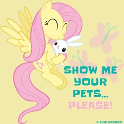 Size: 960x960 | Tagged: safe, imported from derpibooru, angel bunny, fluttershy, cuddling, facebook, fluttershy month, flying, official, pet, smiling