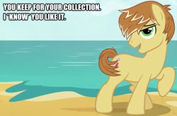 Size: 761x500 | Tagged: safe, edit, edited screencap, imported from derpibooru, screencap, feather bangs, pony, hard to say anything, beach, caption, image macro, karate kid, male, solo, text, the karate kid, the karate kid part 2, the karate kid part ii