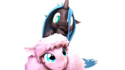 Size: 2560x1440 | Tagged: safe, artist:pesty_skillengton, imported from derpibooru, queen chrysalis, oc, oc:fluffle puff, changeling, changeling queen, pony, 3d, blushing, canon x oc, chrysipuff, cute, cutealis, female, flufflebetes, hug, lesbian, looking at each other, love, princess chrysalis, shipping, source filmmaker