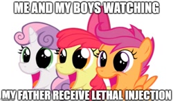 Size: 651x383 | Tagged: safe, artist:squidponer, imported from derpibooru, apple bloom, scootaloo, sweetie belle, earth pony, pegasus, pony, unicorn, caption, cutie mark crusaders, edgy, female, filly, image macro, impact font, implied death, implied execution, meme, text