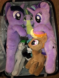 Size: 4032x3024 | Tagged: safe, imported from derpibooru, spike, starlight glimmer, twilight sparkle, oc, oc:front page, oc:marina (efnw), oc:mocha sunrise, everfree northwest, everfree northwest 2019, irl, marina, merchandise, photo