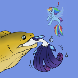 Size: 3900x3900 | Tagged: safe, artist:hellonurse, imported from derpibooru, rainbow dash, rarity, eel, moray eel, seapony (g4), eaten alive, female, fetish, peril, predation, rariprey, seaponified, seapony rainbow dash, seapony rarity, species swap, swallowing, underwater, vore, water