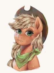 Size: 860x1142 | Tagged: safe, artist:riukime, imported from derpibooru, applejack, earth pony, pony, bandana, bust, female, looking at you, mare, portrait, simple background, solo, white background