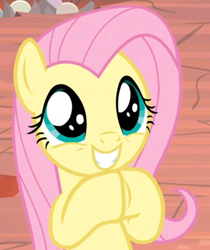 Size: 734x873 | Tagged: safe, imported from derpibooru, screencap, fluttershy, pony, sweet and smoky, cropped, cute, daaaaaaaaaaaw, excited, female, grin, hnnng, hooves together, mare, shyabetes, smiling, solo, weapons-grade cute