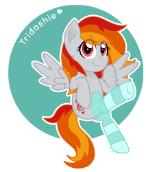 Size: 4189x4919 | Tagged: safe, artist:php150, artist:superanina, imported from derpibooru, oc, oc only, oc:tridashie, pegasus, pony, abstract background, circle background, clothes, cute, eye clipping through hair, female, heart, mare, ocbetes, socks, solo, spread wings, striped socks, wings