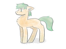 Size: 2250x1688 | Tagged: safe, artist:dumbprincess, imported from derpibooru, earth pony, pony, chest fluff, full body, simple background, solo, white background