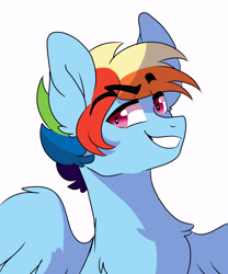 Size: 5000x6000 | Tagged: safe, artist:scarletskitty12, imported from derpibooru, rainbow dash, pegasus, pony, bust, eyebrows, eyebrows visible through hair, grin, male, portrait, rainbow blitz, rule 63, simple background, smiling, solo, stallion, white background