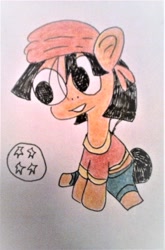 Size: 1350x2048 | Tagged: safe, artist:dex stewart, imported from derpibooru, earth pony, pony, dragon ball, dragon ball gt, dragonball, dragonball gt, pan, ponified