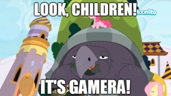 Size: 858x481 | Tagged: safe, edit, edited screencap, imported from derpibooru, screencap, applejack, fluttershy, mr. tortoisnap, pinkie pie, pony, between dark and dawn, caption, cartoonito logo, female, gamera, giant tortoise, image macro, mare, meme, text