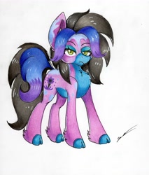 Size: 4633x5433 | Tagged: safe, artist:luxiwind, imported from derpibooru, oc, oc only, oc:tracer paint, earth pony, pony, absurd resolution, female, mare, solo, traditional art