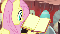 Size: 1920x1080 | Tagged: safe, edit, edited screencap, imported from derpibooru, screencap, fluttershy, pony, sweet and smoky, book, egg, female, meme template, solo, template