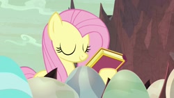 Size: 1920x1080 | Tagged: safe, imported from derpibooru, screencap, fluttershy, pony, sweet and smoky, book, egg, female, mare, solo