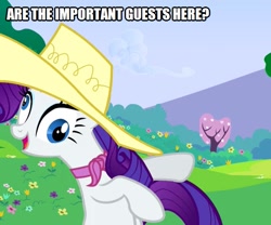 Size: 601x500 | Tagged: safe, edit, edited screencap, imported from derpibooru, screencap, rarity, pony, unicorn, a canterlot wedding, caption, cropped, derp, female, hat, image macro, solo, text
