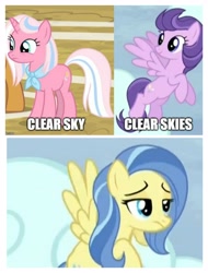 Size: 3106x4096 | Tagged: safe, edit, edited screencap, imported from derpibooru, screencap, clear skies, clear sky, sunshower, common ground, tanks for the memories, caption, image macro, know the difference, text, unamused, who's on first?