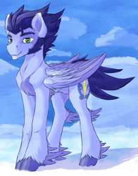 Size: 800x1020 | Tagged: safe, artist:thatonegib, imported from derpibooru, soarin', pegasus, pony, cloud, colored feathertips, eyebrows, feathered fetlocks, feathered hooves, folded wings, green eyes, looking at you, male, redesign, sideburns, signature, solo, stallion, unshorn fetlocks, wings