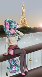 Size: 1100x2000 | Tagged: safe, artist:datpon3, deleted from derpibooru, imported from derpibooru, oc, oc only, anthro, unguligrade anthro, anthro oc, beautiful, choker, clothes, eiffel tower, female, garter belt, garters, hair bun, love lock, padlock, paris, river, shirt, shoulderless, sitting, skirt, socks, solo, stockings, thigh highs, zettai ryouiki