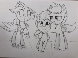 Size: 4032x3024 | Tagged: artist needed, safe, imported from derpibooru, oc, oc:duk, oc:ping wing, oc:turquoise, bird, duck, duck pony, hippogriff, pegasus, penguin, pony, cute, lineart, quack, quak, shocked, steal yo girl, stolen, traditional art, turquoise is being a dick again