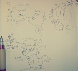 Size: 960x880 | Tagged: safe, artist:stepandy, imported from derpibooru, oc, oc:duk, oc:pandy, oc:stepanda, duck, duck pony, angry, comic, cross-popping veins, cute, denied, funny, lineart, meme, quack, quak, shipping, sketch, sorry, traditional art
