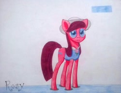 Size: 1140x878 | Tagged: safe, artist:dialysis2day, imported from derpibooru, oc, oc only, oc:rosy, earth pony, pony, clothes, female, hat, mare, shirt, solo, traditional art