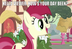 Size: 669x452 | Tagged: safe, edit, edited screencap, editor:undeadponysoldier, imported from derpibooru, screencap, roseluck, earth pony, pony, breaking the fourth wall, bush, cute, female, fence, flower, heart, looking at you, mare, open mouth, ponyville, question mark, smiling, solo, talking to viewer