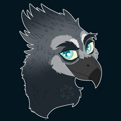 Size: 3000x3000 | Tagged: safe, artist:fkk, imported from derpibooru, oc, oc only, griffon, birb, bust, commission, male, portrait, solo