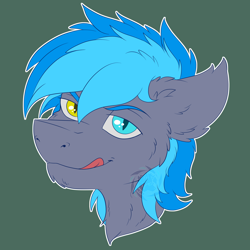 Size: 3000x3000 | Tagged: safe, artist:fkk, imported from derpibooru, oc, oc only, oc:midnight snowstorm, bat pony, pony, bat pony oc, bust, commission, heterochromia, male, portrait, solo, stallion