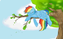 Size: 500x311 | Tagged: safe, artist:splinterstar, imported from derpibooru, rainbow dash, pegasus, pony, cropped, female, sleeping, solo, tree, tree branch